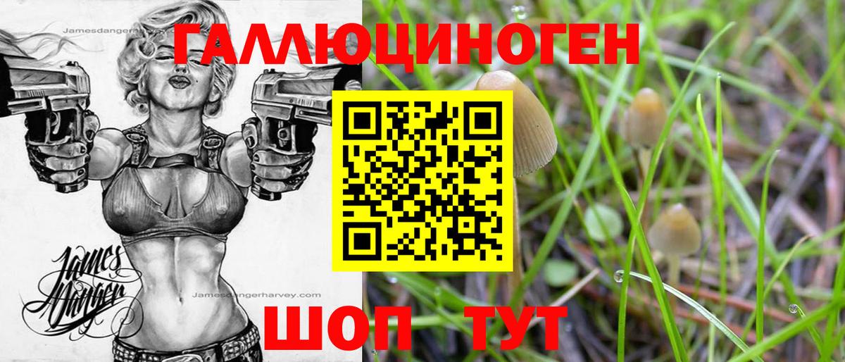 Псилоцибиновые грибы Psilocybine cubensis  Вход с VPN  Донской 
